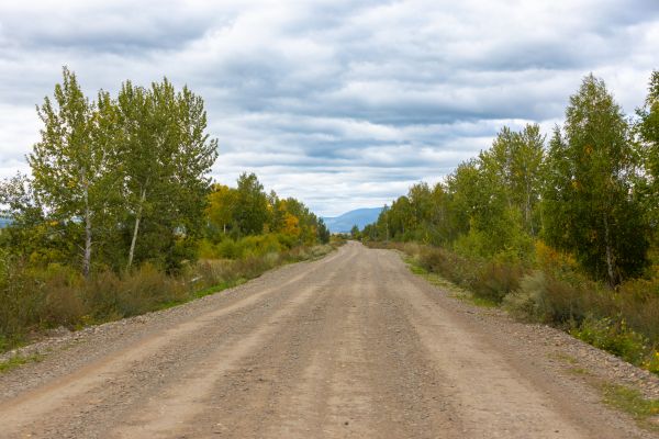 Dirt Road Repair in Kingsport